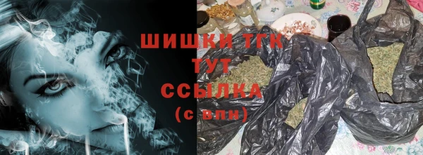 PSILOCYBIN Богданович