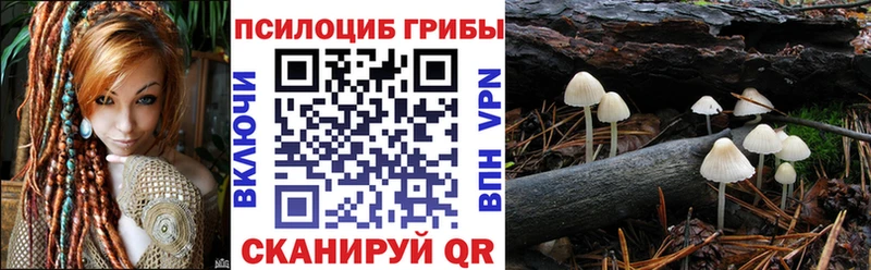 Псилоцибиновые грибы ЛСД купить дарк нет официальный сайт Верещагино
