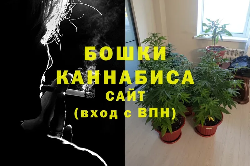 купить   Верещагино  Бошки марихуана OG Kush 